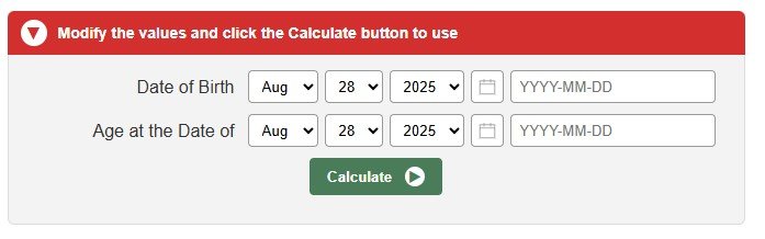 How to use Age Calculator?